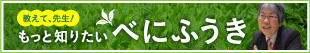 教えて、先生！もっと知りたい べにふうき