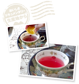 一見ハーブティーのようだが、味は渋みの効いた緑茶というギャップが面白いサンルージュ。レモン果汁を絞り入れると、いっそう鮮やかな紅色に変わる。