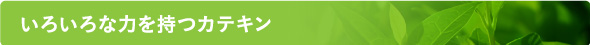 いろいろな力を持つカテキン