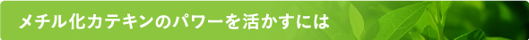 メチル化カテキンのパワーを活かすには