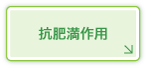 抗肥満作用
