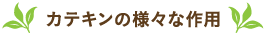 カテキンの様々な作用