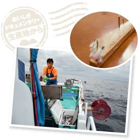 うるめいわしの一本釣りは、正確には「多鈎釣り（たこうつり）」と呼び、独自の仕掛けを使う。取材にご協力いただいた久保英志さんは、この道37年のプロフェッショナル。