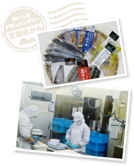 温度と衛生管理を徹底した加工場では、業務用のフィレやすり身、オイルサーディンや漬け丼用のレトルトなどの小売商品を製造。