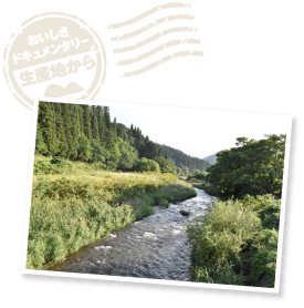 見渡す限り緑が広がる「おおわにシャモロックファーム」周辺の環境。清らかな水と空気が、健康で質の良い青森シャモロックを育て上げる。