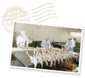 ファーム内に設けられた認定小規模食鳥処理場。鶏舎から運び入れてその日の内に処理をし、パッキング後に冷却して翌日出荷。作業動線を考え、衛生管理と鮮度管理も徹底している。