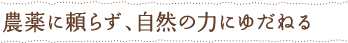 農薬に頼らず、自然の力にゆだねる
