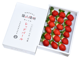 【愛媛発】レッドパール