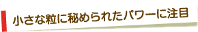 小さな粒に秘められたパワーに注目