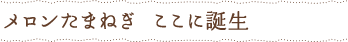 メロンたまねぎ　ここに誕生