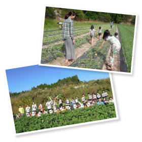 安心・安全な野菜を選んで買うきっかけ作りになったらと、農業体験の受け入れに積極的。「価値を理解してもらうには現場を見てもらうのが一番」と雅夫さんは語る。