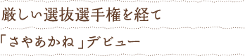 厳しい選抜選手権を経て「さやあかね」デビュー