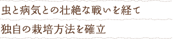 虫と病気との壮絶な戦いを経て独自の栽培方法を確立