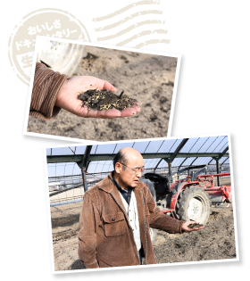 17年もの歳月を費やして作り上げた土。油粕、ぬか、魚粉などを発酵させたボカシ肥料と、籾殻や牛糞などをバランスよく配合し、微生物が働きやすい環境づくりを心がけている。