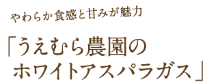 やわらか食感と甘みが魅力「うえむら農園のホワイトアスパラガス」