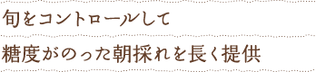 旬をコントロールして糖度がのった朝採れを長く提供