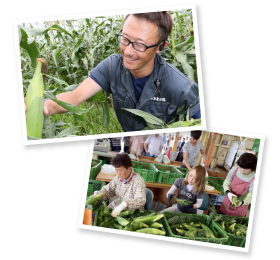 収穫時期は毎朝4時から始動する弥さん。採れたての「甘々娘」はすぐさま直売所へ持ち込まれ、スタッフが慣れた手つきで手入れする。このライブ感も名物となっている。