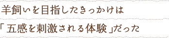 羊飼いを目指したきっかけは「五感を刺激される体験」だった