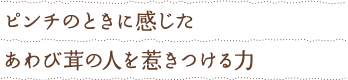 ピンチのときに感じたあわび茸の人を惹きつける力