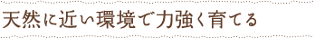 天然に近い環境で力強く育てる