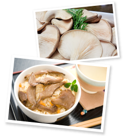 和洋中問わず、さまざまな料理の主役を担う足太あわび茸。事務所の一角にある不定期オープンのイートインスペース「Reco's Kitchen」では、邑地さん特製きのこ料理が味わえる。