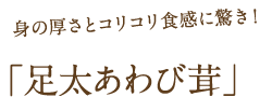 足太あわび茸
