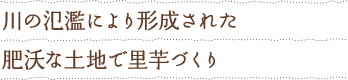 川の氾濫により形成された肥沃な土地で里芋づくり