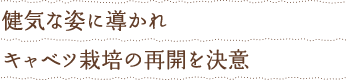 健気な姿に導かれ、キャベツ栽培の再開を決意