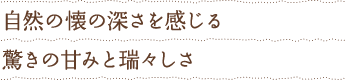 自然の懐の深さを感じる驚きの甘みと瑞々しさ