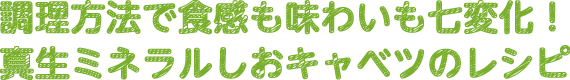 調理方法で食感も味わいも七変化！真生ミネラルしおキャベツのレシピ