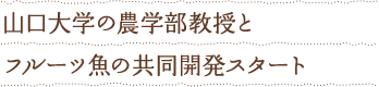 山口大学の農学部教授とフルーツ魚の共同開発スタート