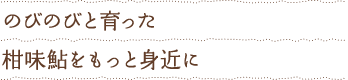 のびのび育った柑味鮎をもっと身近に